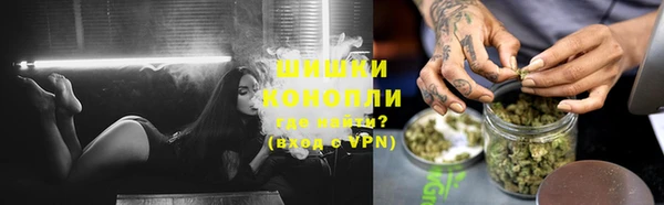 дурь Богородицк