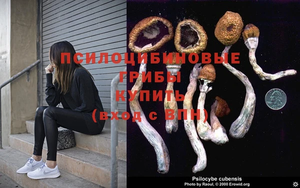 a pvp Богданович