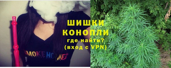 дурь Богородицк