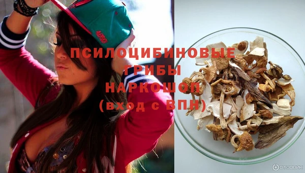 дурь Богородицк